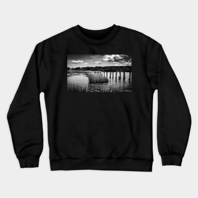 McCormack's Beach Provincial Park in Black & White Crewneck Sweatshirt by kenmo